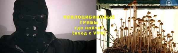 наркотики Алексин