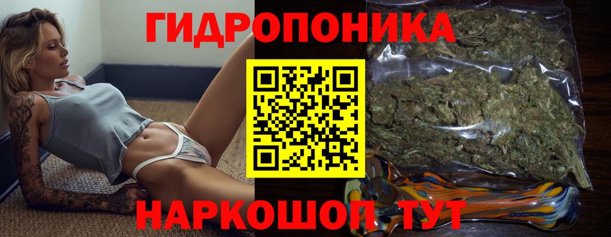 Конопля конопля Боровичи